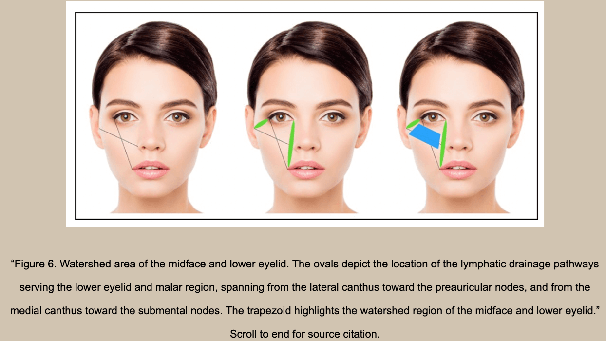 LYMPHATICS